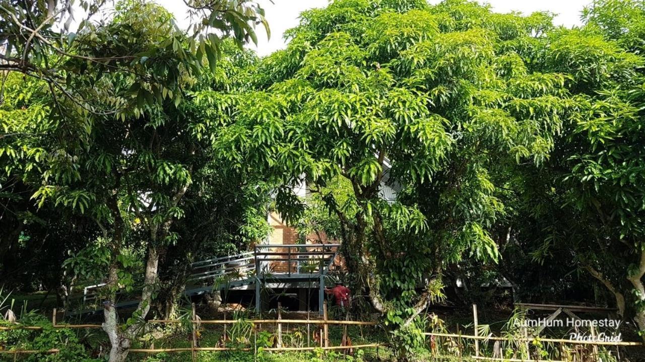 Aum Hum Homestay ファン エクステリア 写真